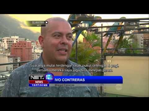 Pelestarian burung Macaw, warga Caracas sukarela merawat burung - NET12