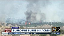 Burro Fire burning 14k acres near Tucson