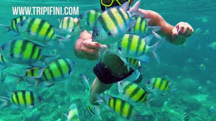 Custom Journeys from  Top Local Travel Experts