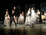 Arte flamenco à Mont-de-Marsan : le ballet andalou