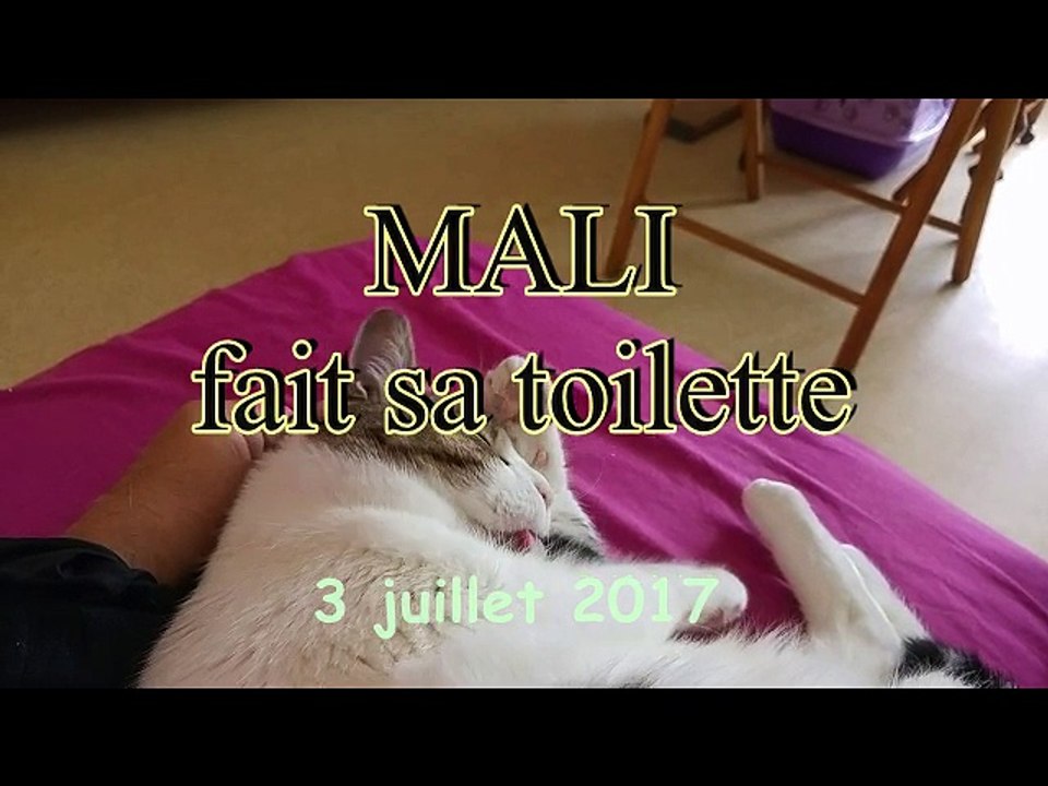 Mali fait sa toilette
