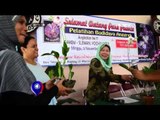 Warga Sleman Yogyakarta Miliki Taman Anggrek -NET12