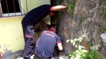 Duvarların Arasına Sıkışan Yavru Köpeği Itfaiye Kurtardı