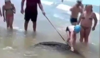 Timsaha tasma takıp denizde gezdiren adam tutuklandı