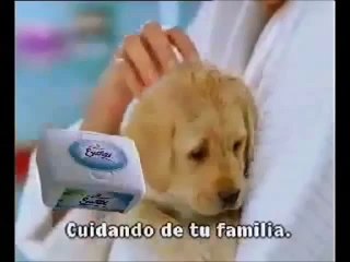 seat cordoba advert 2005