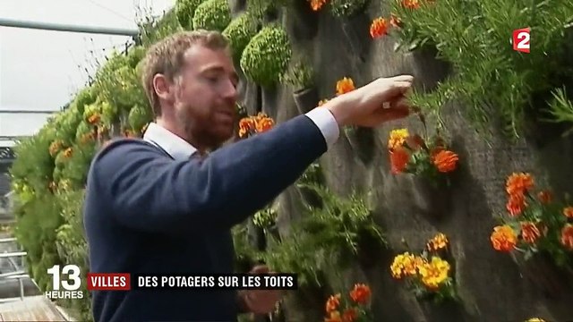 Tendance : des potagers sur les toits