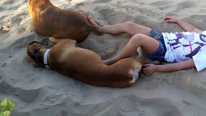 Fallait pas embeter le chien... Bien fait!