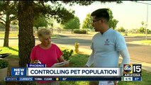 Valley program hitting the streets to control pet population