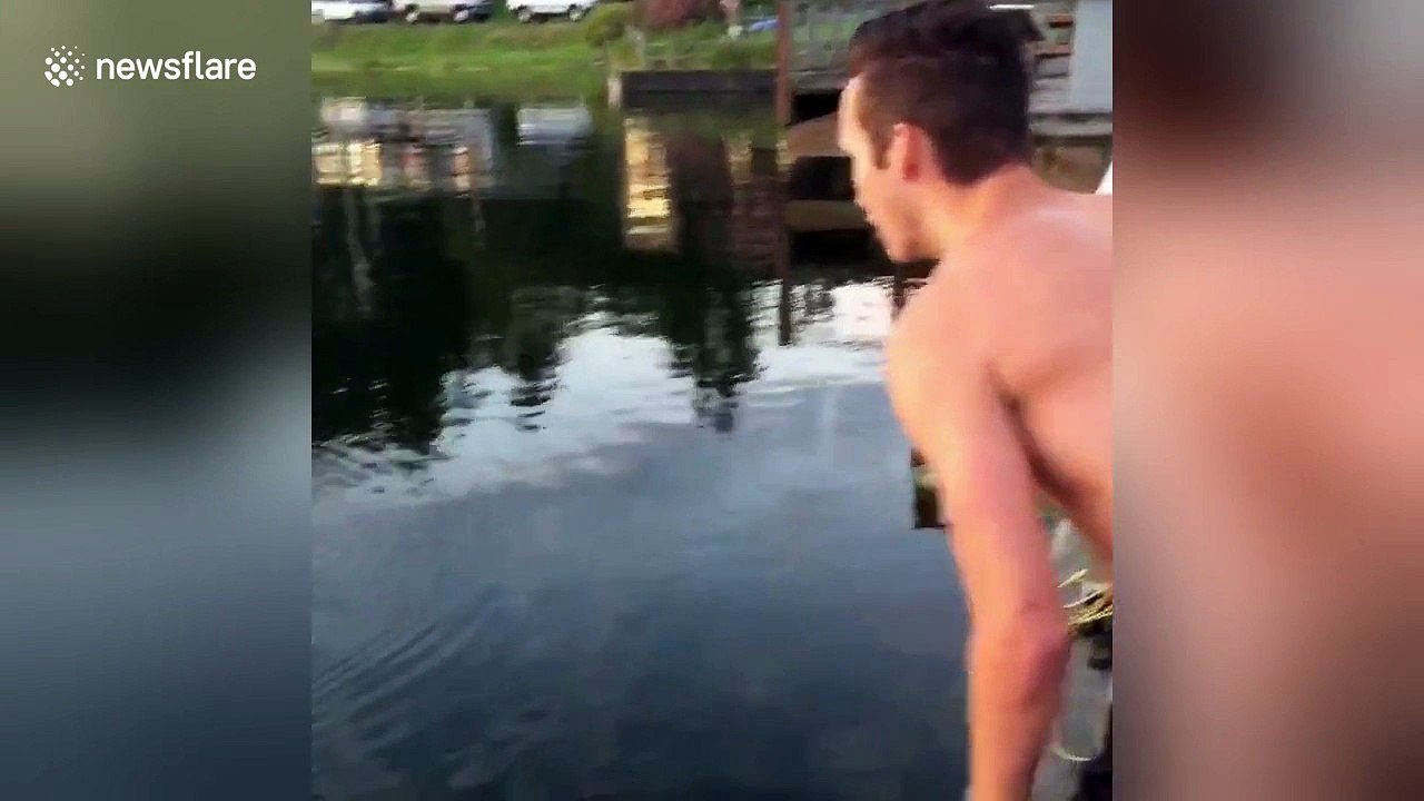 Man catches large dogfish with his bare hands