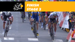 Arrivée / Finish - Étape 3 / Stage 3 - Tour de France 2017