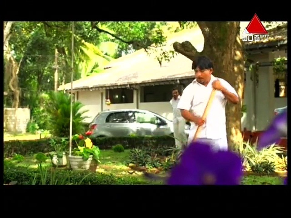 Pehasara  03rd July 2017