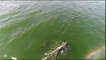 Drone captures killer whales swimming close to filmer's home