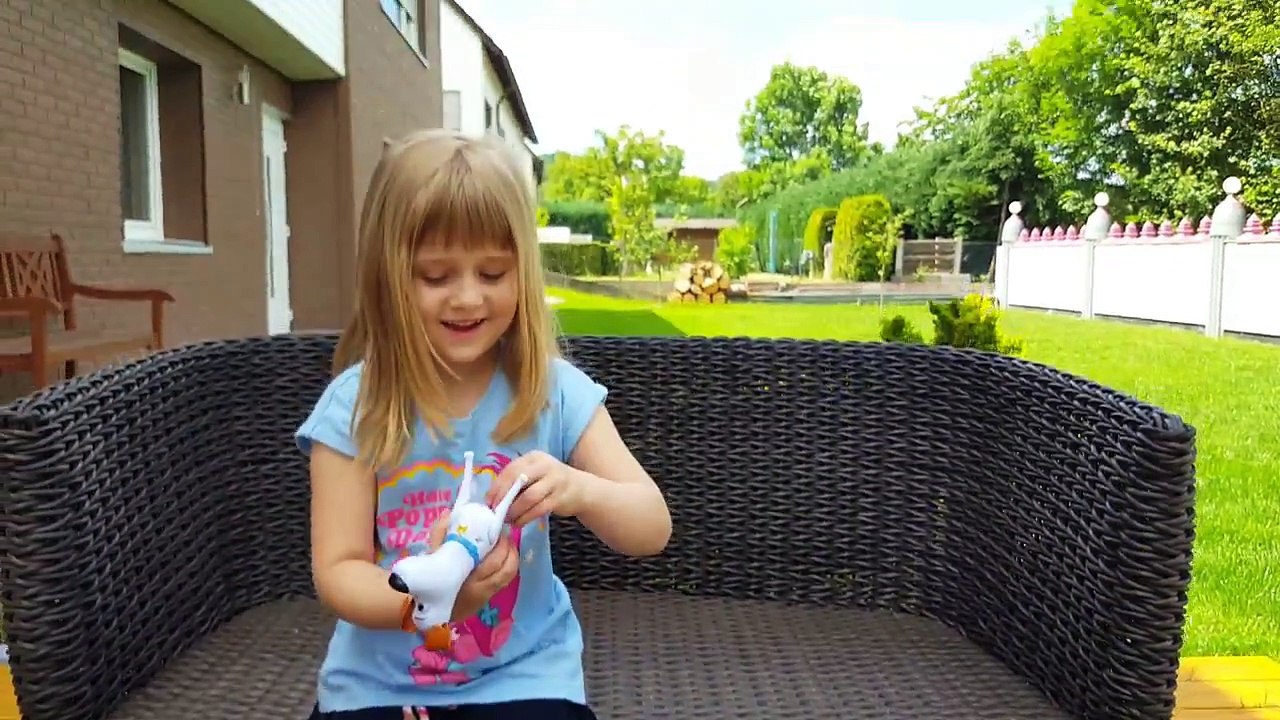 Secret Life of PETS Walking Talking Pets MAX MEL GIDGET