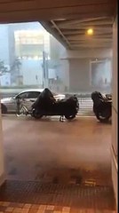 Typhoon Merbok hits Hong Kong (June 13, 2017)