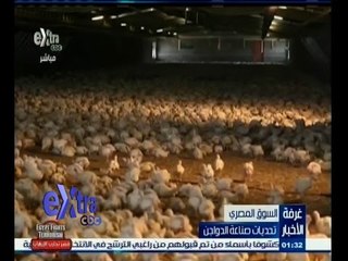 #غرفة_الأخبار | ‎‎‎‎‎‎‎‎‎‎‎‎‎‎تحديات صناعة الدواجن في السوق المصرية