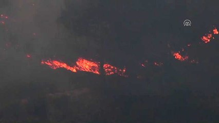 Sarayköy'de Orman Yangını (2) - Denizli