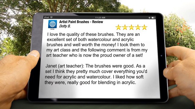 Acrylic Paint Brush Set - Customer Review - 14 Piece Artist Brush Set by Art Supply Central