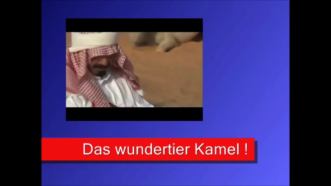 Krebs heilen mit Kamelurin