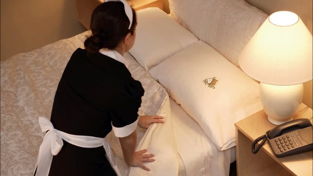 Night Owl Cleaning Service LLC - (443) 838-4275