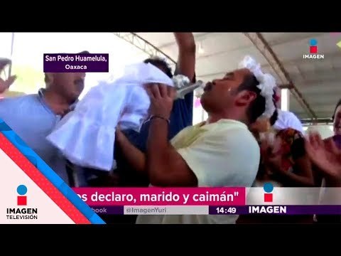 Alcalde mexicano SE CASA CON UN CAIMÁN | Noticias con Yurira Sierra