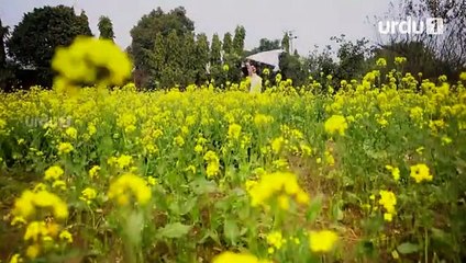 Kesi Ye Paheli Episode 19 Full In HD 3rd July 2017