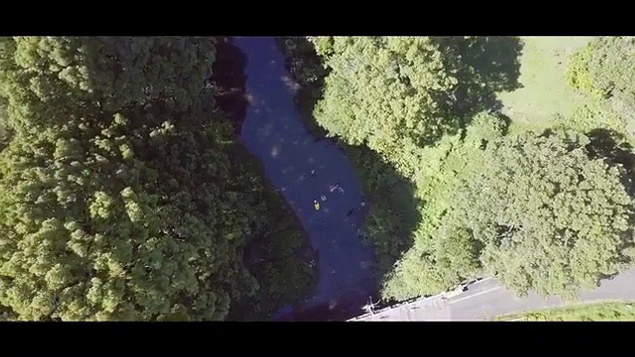 Bridge