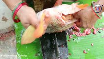 Fish Eggs Curry Recipes   Corp Fish Egg Spicy Fry by Grandma's Cooking   Gravid Fish Curry
