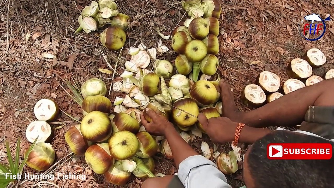 Toddy Palm Fruits   Jelly seeds of Palmyra palm    Tender Palm    Borassus flabellifer