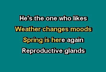 Nirvana - In bloom (Karaoke)