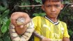 Creative Boy make an Amazing Snake Trap - Catching Snake with Simple Tricks