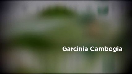 Garcinia Cambogia