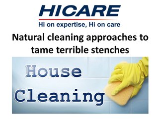 Natural cleaning approaches to tame terrible stenches