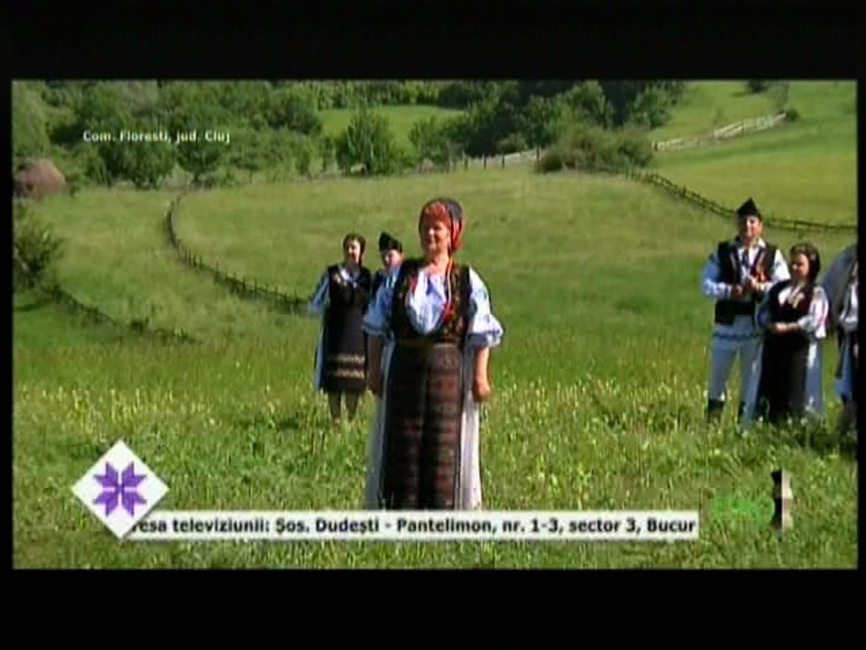 Veta Biris - Trec zilele trec si eu..