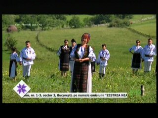 Veta Biris- Codrule ce patimesti..