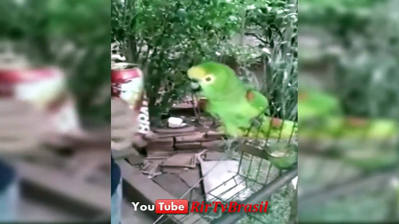 Tente Não Rir #29 (Impossivel) Se Rir Perde - Videos Engraçados Brasil