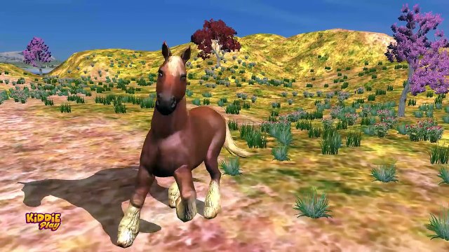 Animaux enfant la famille doigt pour enfants garderie rimes chanson chansons |