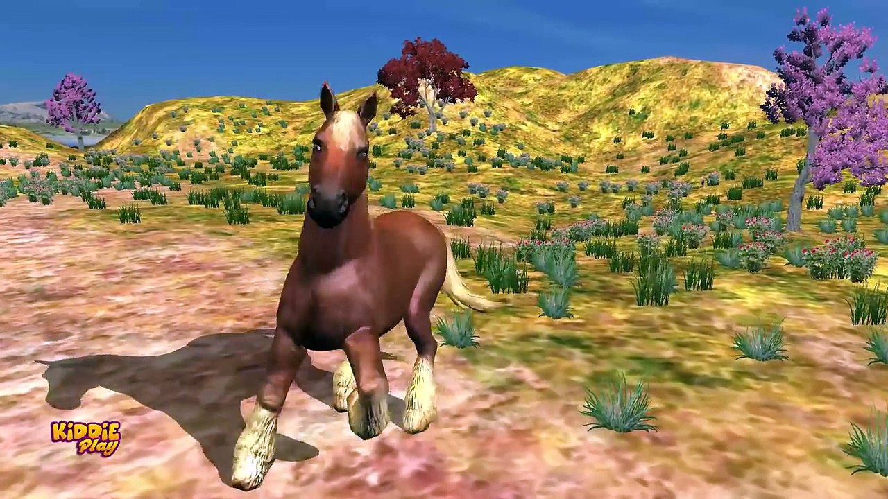 Animaux enfant la famille doigt pour enfants garderie rimes chanson chansons |