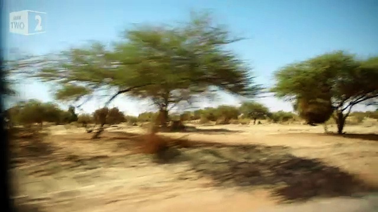 The city of gold - Morocco To Timbuktu An Arabian Adventure  Episode 2 Preview - BBC Two