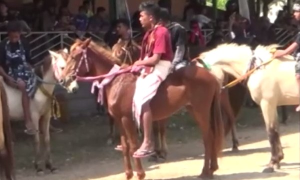 Parade 1001 Kuda Sandalwood & Tenun Ikat, Daya Tarik Sumba