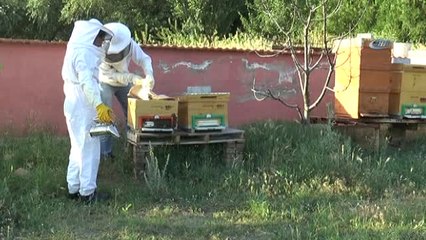 Hobi Olarak Başladıkları İşten Para Kazanacaklar