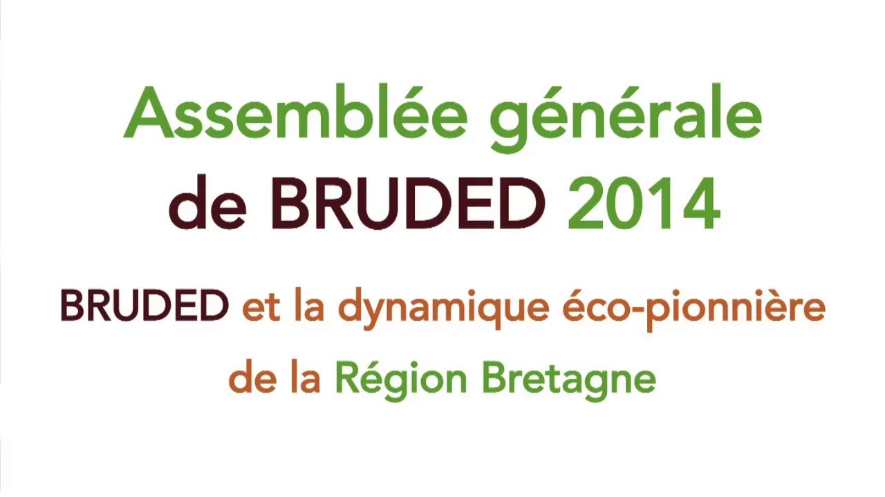 Assemblée Générale - Daniel Cueff - BRUDED