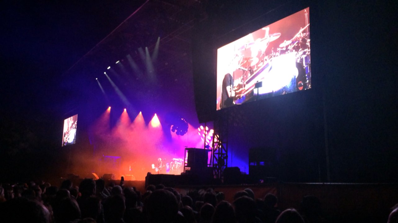 Nuit de l'Erdre : Les Insus