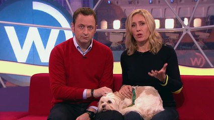 BBC1_Watchdog - Puppy Buying Tips 28Nov16