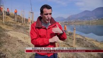 Faza e dytë e pyllëzimit të Parkut të Liqenit të Farkës - News, Lajme - Vizion Plus