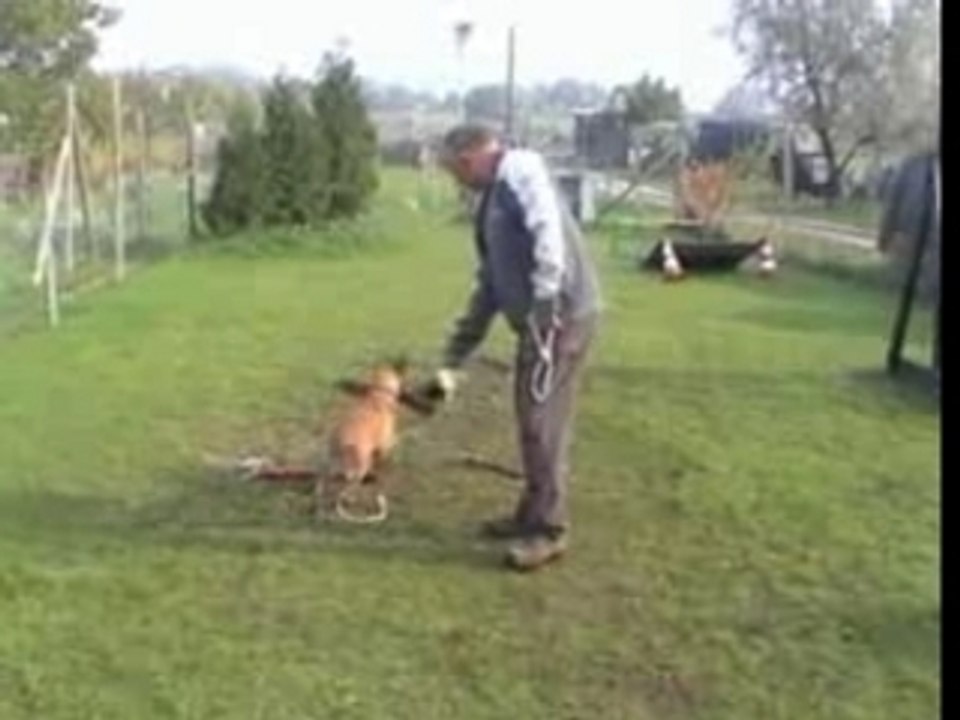 Beutetausch-Be Aware Aphrodite