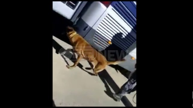 Ja si pala greke kontrollon autobusët shqiptarë për drogë