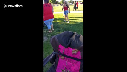 Parents fight at kids baseball match in the US