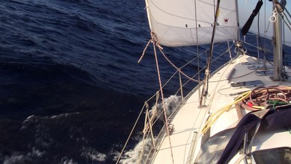 En baie de NAPOLI - océanis 393