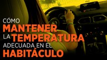 Cómo mantener la temperatura adecuada en el habitáculo