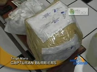 CAPTURAN BURRIERS - TINGO MARÍA
